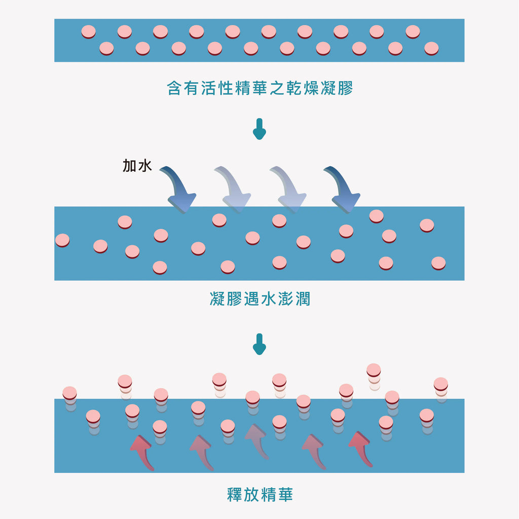 控油淨膚無水面膜 5片入